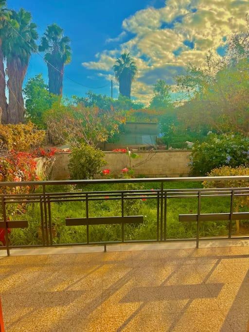 Sunny Garden 23