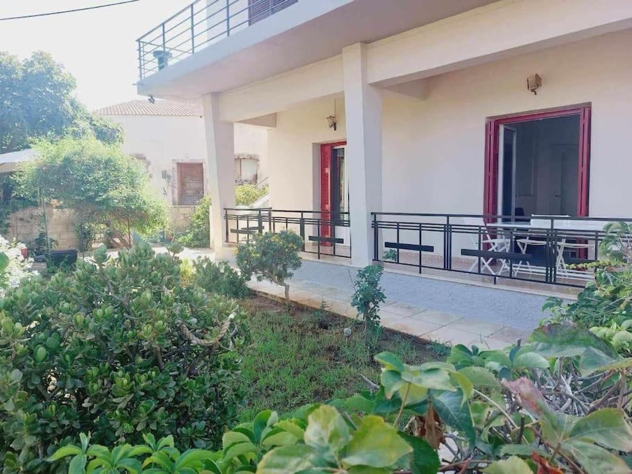 Sunny Garden 25